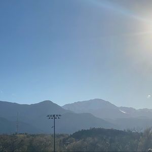 Meet your Posher, Ginger